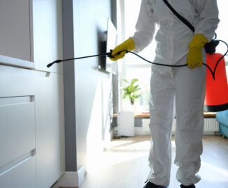 29271 شركة مكافحة الحشرات والقوارض بجدة