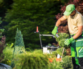 8426 شركة تنسيق الحدائق بجدة